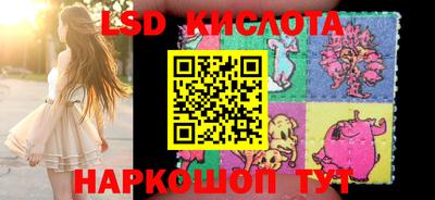дмт Будённовск