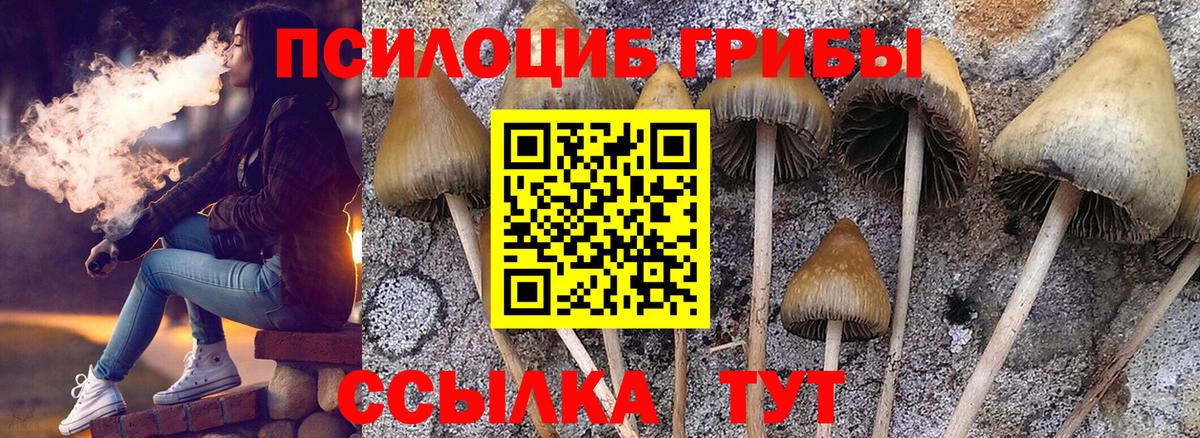 Псилоцибиновые грибы мухоморы Нарткала