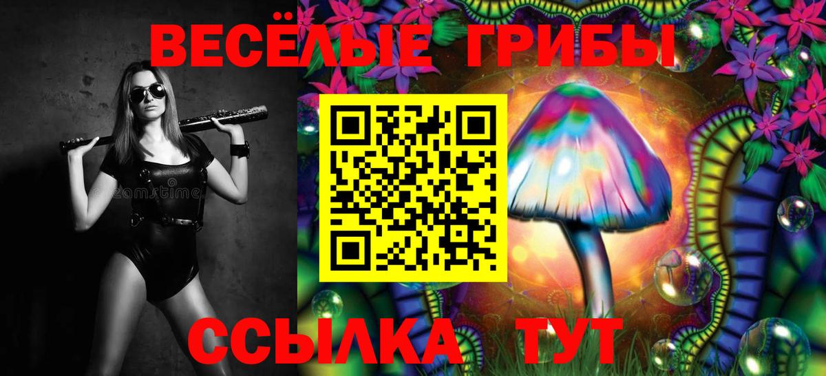 Псилоцибиновые грибы Cubensis  Вход с VPN  Нарткала 